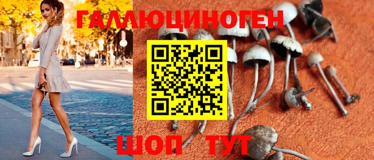 Донецк  Псилоцибиновые грибы мухоморы  Вход с VPN 